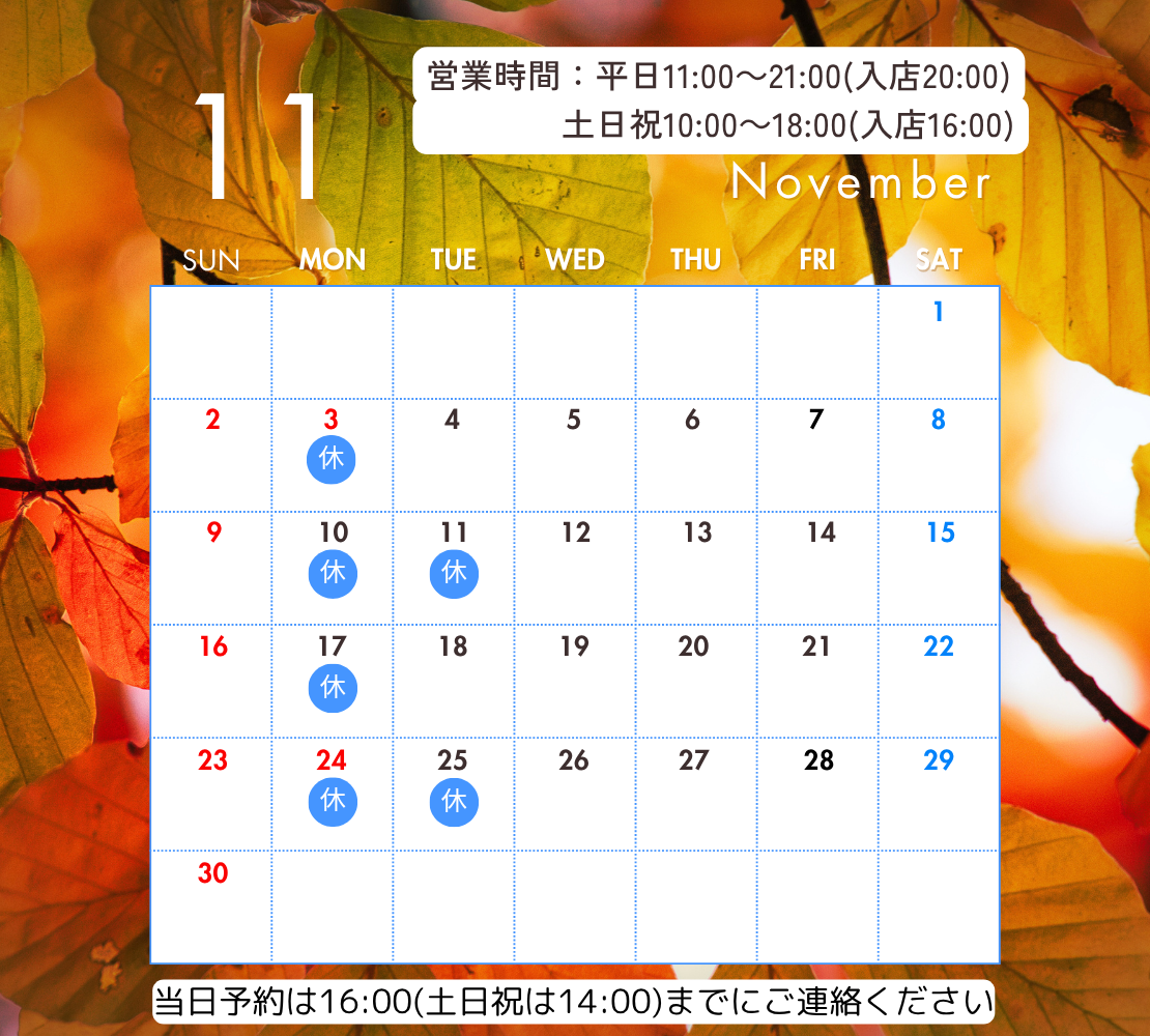 11月のお休み
